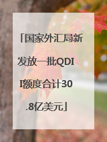 国家外汇局新发放一批QDII额度合计30.8亿美元