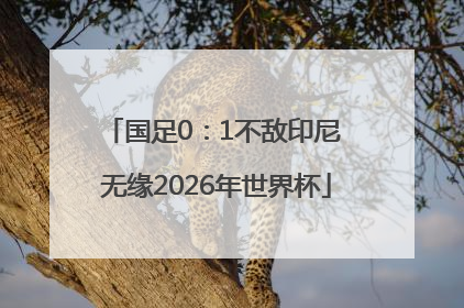 国足0：1不敌印尼 无缘2026年世界杯
