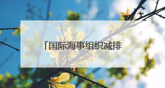 国际海事组织减排新规出台，绿色航运燃料亟须降低成本