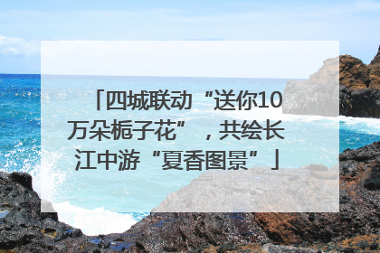 四城联动“送你10万朵栀子花”，共绘长江中游“夏香图景”