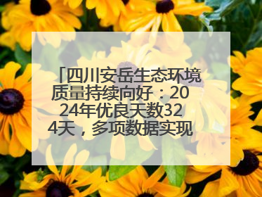 四川安岳生态环境质量持续向好：2024年优良天数324天，多项数据实现100%