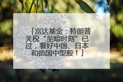 富达基金：特朗普关税“至暗时刻”已过，看好中国、日本和德国中型股！