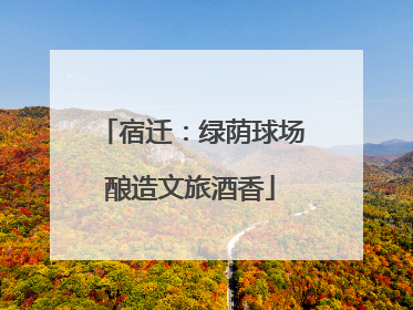 宿迁：绿荫球场酿造文旅酒香