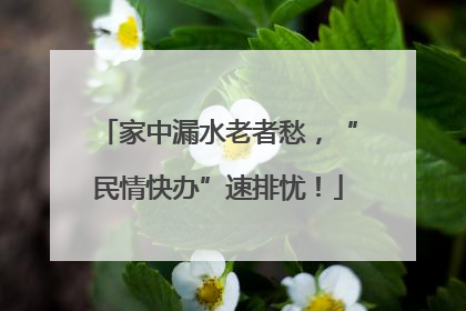 家中漏水老者愁，“民情快办”速排忧！