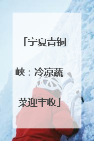宁夏青铜峡：冷凉蔬菜迎丰收