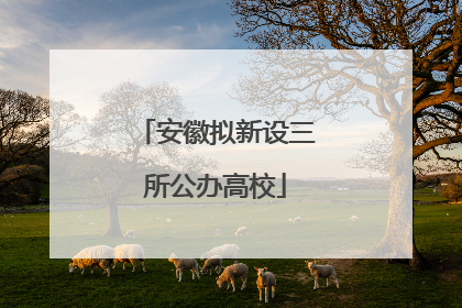 安徽拟新设三所公办高校