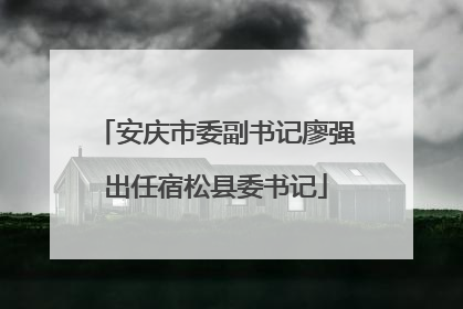 安庆市委副书记廖强出任宿松县委书记
