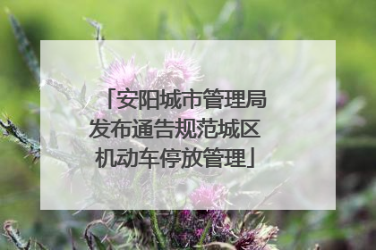 安阳城市管理局发布通告规范城区机动车停放管理