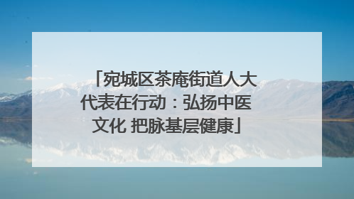 宛城区茶庵街道人大代表在行动：弘扬中医文化 把脉基层健康