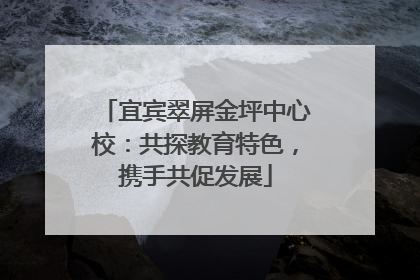 宜宾翠屏金坪中心校：共探教育特色，携手共促发展
