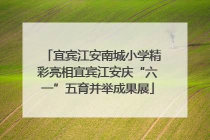 宜宾江安南城小学精彩亮相宜宾江安庆“六一”五育并举成果展