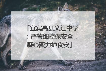 宜宾高县文江中学：严管细控保安全，凝心聚力护食安