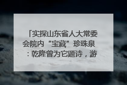 实探山东省人大常委会院内“宝藏”珍珠泉：乾隆曾为它题诗，游客无需预约免费游览