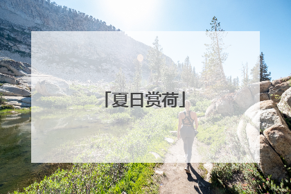 夏日赏荷