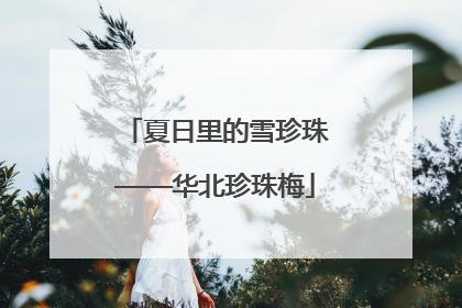 夏日里的雪珍珠——华北珍珠梅