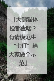 大熊猫体检都查啥？有请模范生“七仔”给大家做个示范