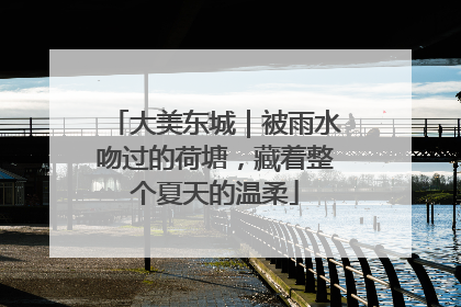 大美东城｜被雨水吻过的荷塘，藏着整个夏天的温柔