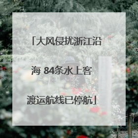 大风侵扰浙江沿海 84条水上客渡运航线已停航
