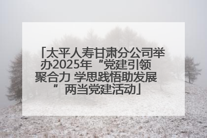 太平人寿甘肃分公司举办2025年“党建引领聚合力 学思践悟助发展”两当党建活动