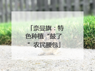 奈曼旗：特色种植“鼓了”农民腰包