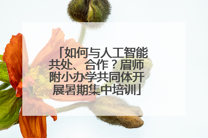 如何与人工智能共处、合作？眉师附小办学共同体开展暑期集中培训