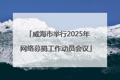 威海市举行2025年网络募捐工作动员会议