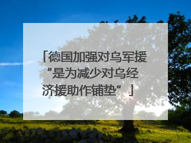 德国加强对乌军援 “是为减少对乌经济援助作铺垫”