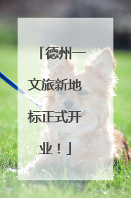 德州一文旅新地标正式开业！