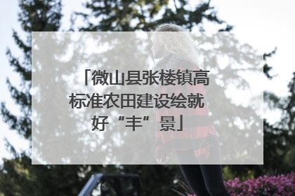 微山县张楼镇高标准农田建设绘就好“丰”景