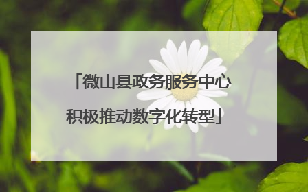微山县政务服务中心积极推动数字化转型