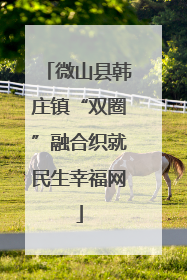 微山县韩庄镇“双圈”融合织就民生幸福网