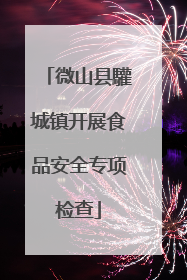 微山县驩城镇开展食品安全专项检查
