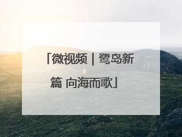 微视频｜鹭岛新篇 向海而歌