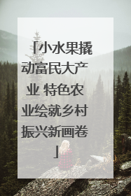 小水果撬动富民大产业 特色农业绘就乡村振兴新画卷