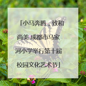 小马奔腾，致和尚美 成都市马家河小学举行第十届校园文化艺术节