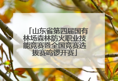 山东省第四届国有林场森林防火职业技能竞赛暨全国竞赛选拔赛鸣锣开赛