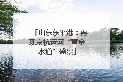 山东东平港：再现京杭运河“黄金水道”盛景