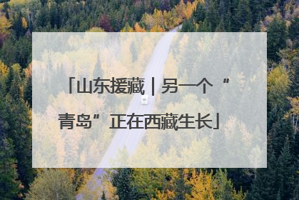 山东援藏｜另一个“青岛”正在西藏生长