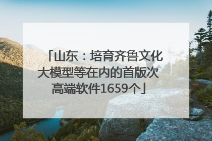山东：培育齐鲁文化大模型等在内的首版次高端软件1659个