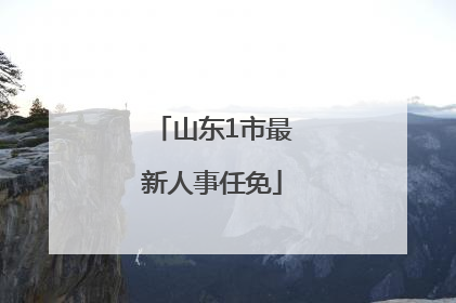 山东1市最新人事任免