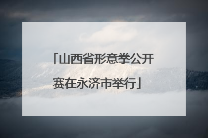 山西省形意拳公开赛在永济市举行