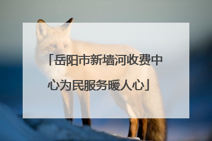 岳阳市新墙河收费中心为民服务暖人心