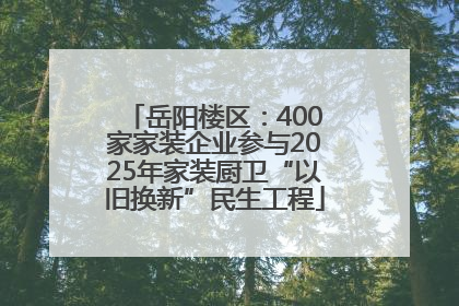 岳阳楼区：400家家装企业参与2025年家装厨卫“以旧换新”民生工程