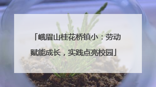 峨眉山桂花桥镇小：劳动赋能成长，实践点亮校园