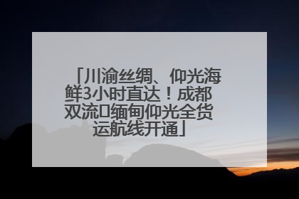 川渝丝绸、仰光海鲜3小时直达！成都双流⇌缅甸仰光全货运航线开通