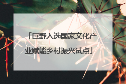 巨野入选国家文化产业赋能乡村振兴试点