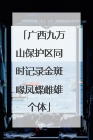 广西九万山保护区同时记录金斑喙凤蝶雌雄个体