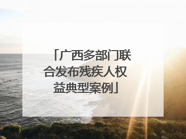 广西多部门联合发布残疾人权益典型案例