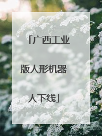 广西工业版人形机器人下线