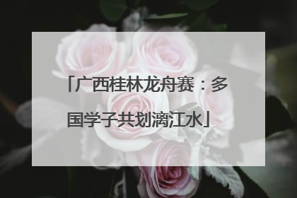 广西桂林龙舟赛：多国学子共划漓江水